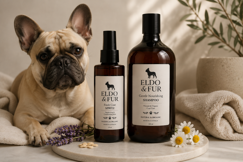 The Coat Care Duo