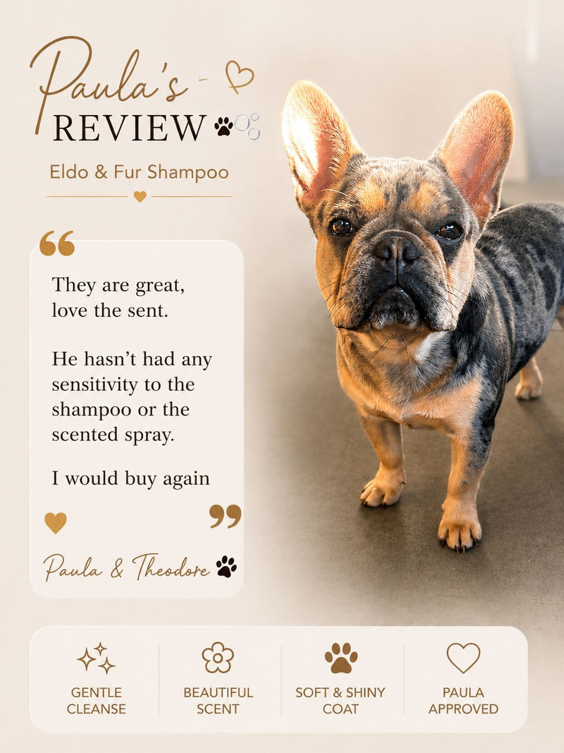 Customer Review 3