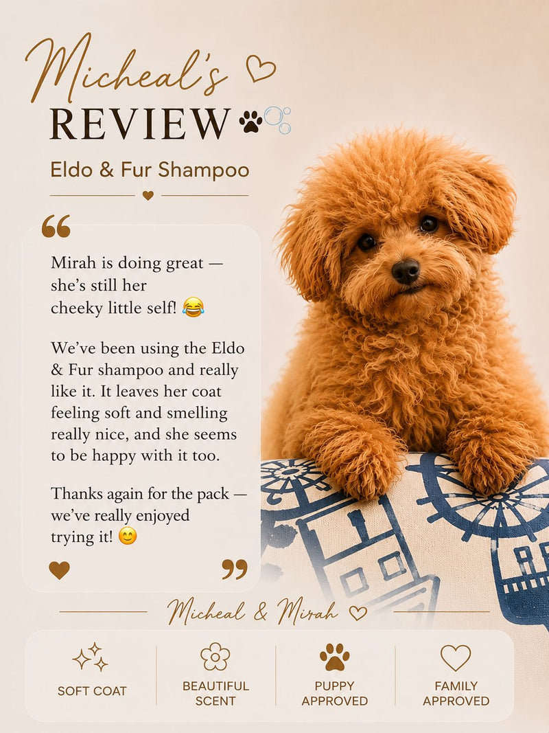Customer Review 2