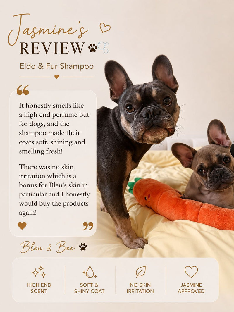 Customer Review 1